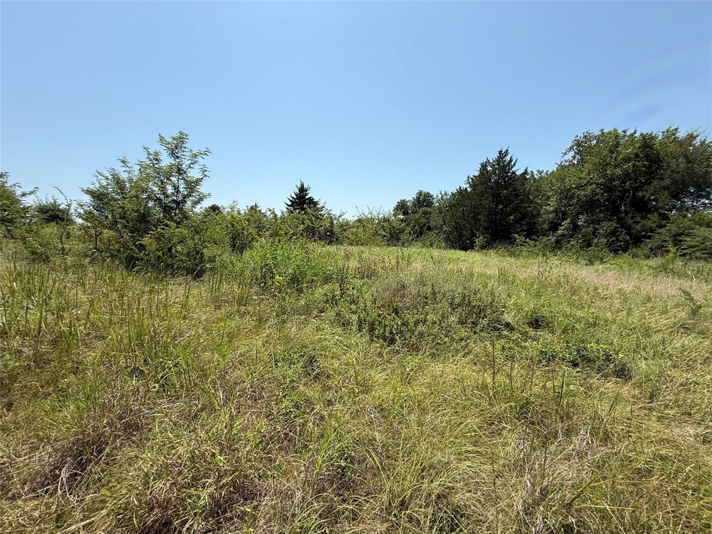 2781 County Road 4581 Property Photo 6