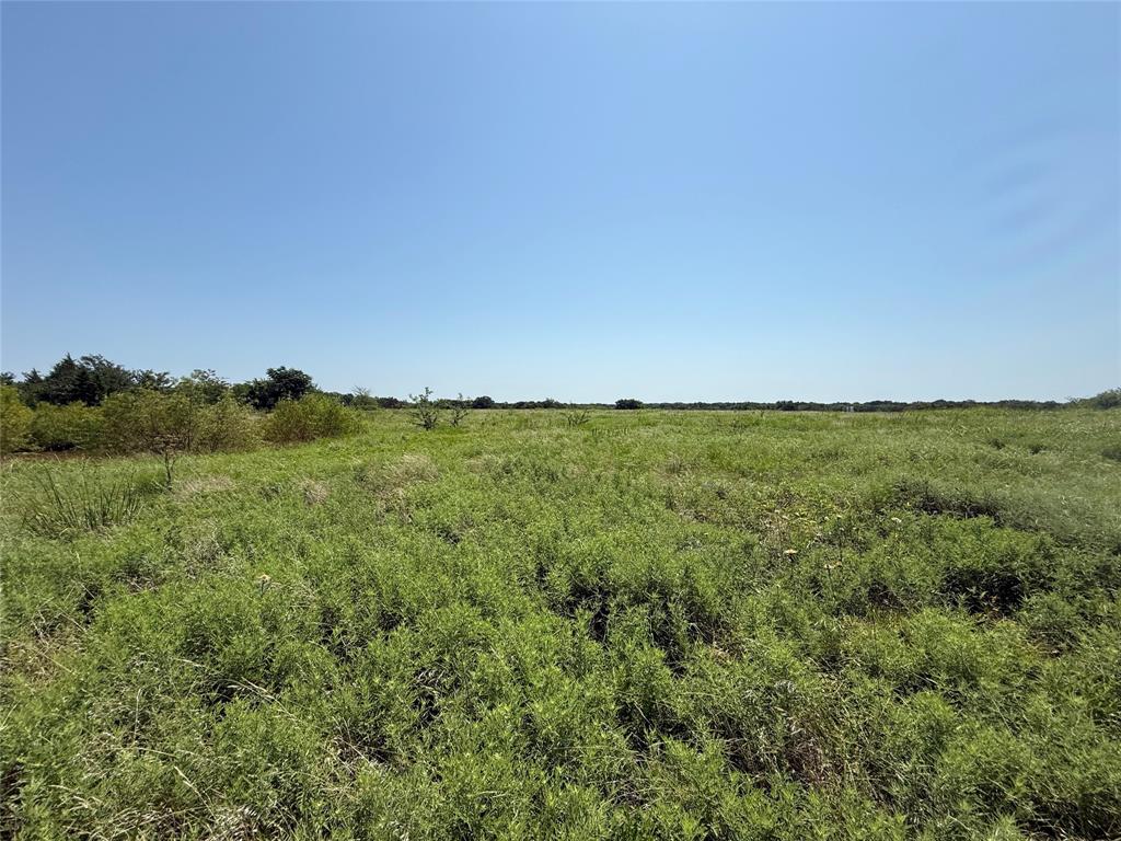 2781 County Road 4581 Property Photo 8