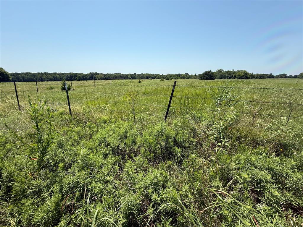 2781 County Road 4581 Property Photo 9