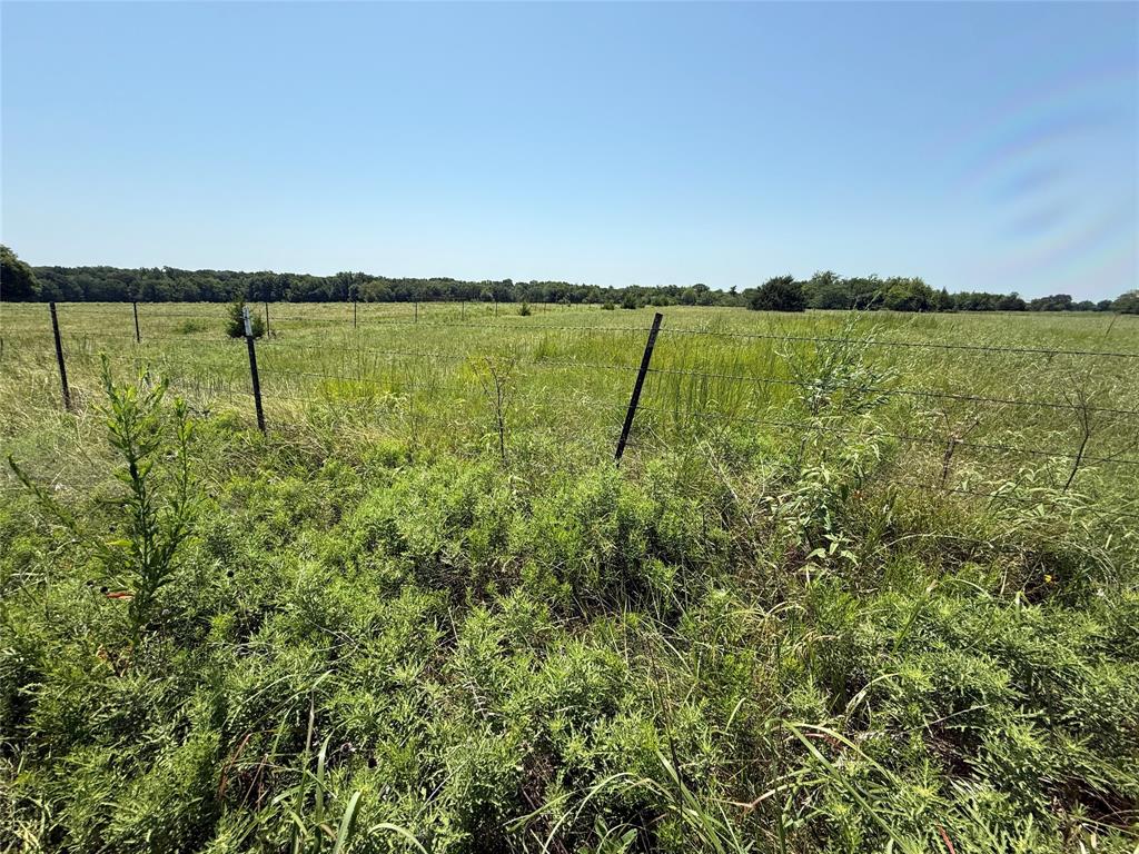 2781 County Road 4581 Property Photo 10