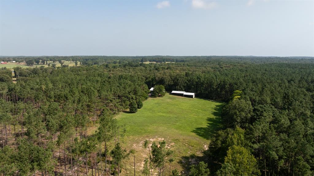 Tbd Cr 461 Property Photo 2