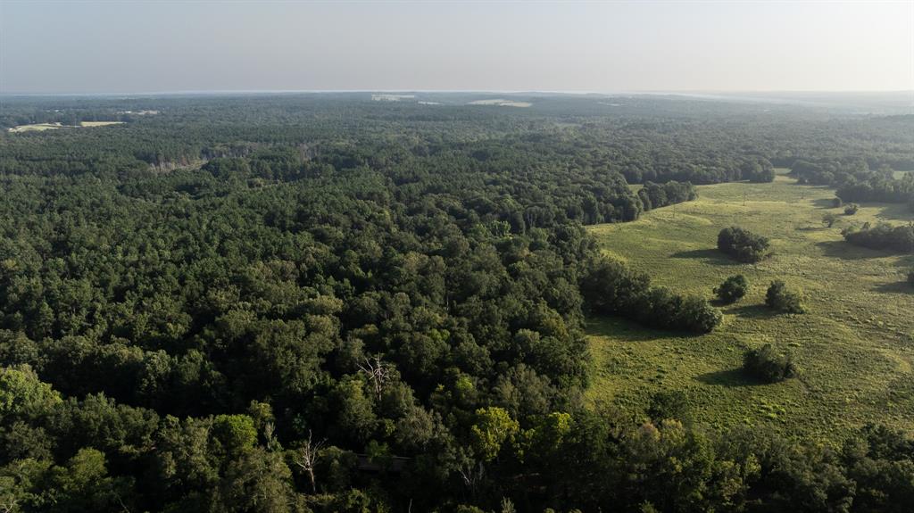 Tbd Cr 461 Property Photo 3