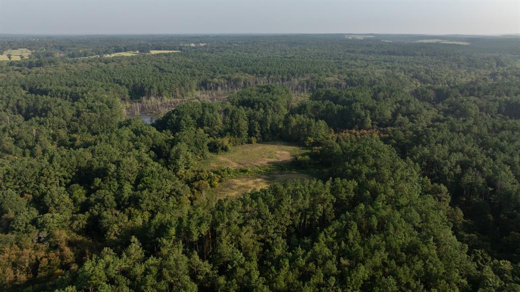 Tbd Cr 461 Property Photo 4