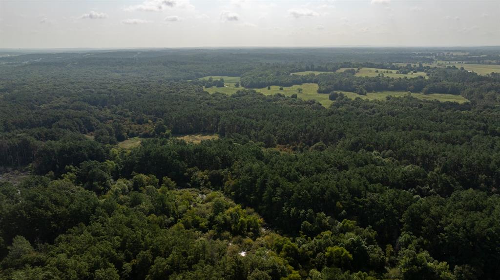 Tbd Cr 461 Property Photo 8