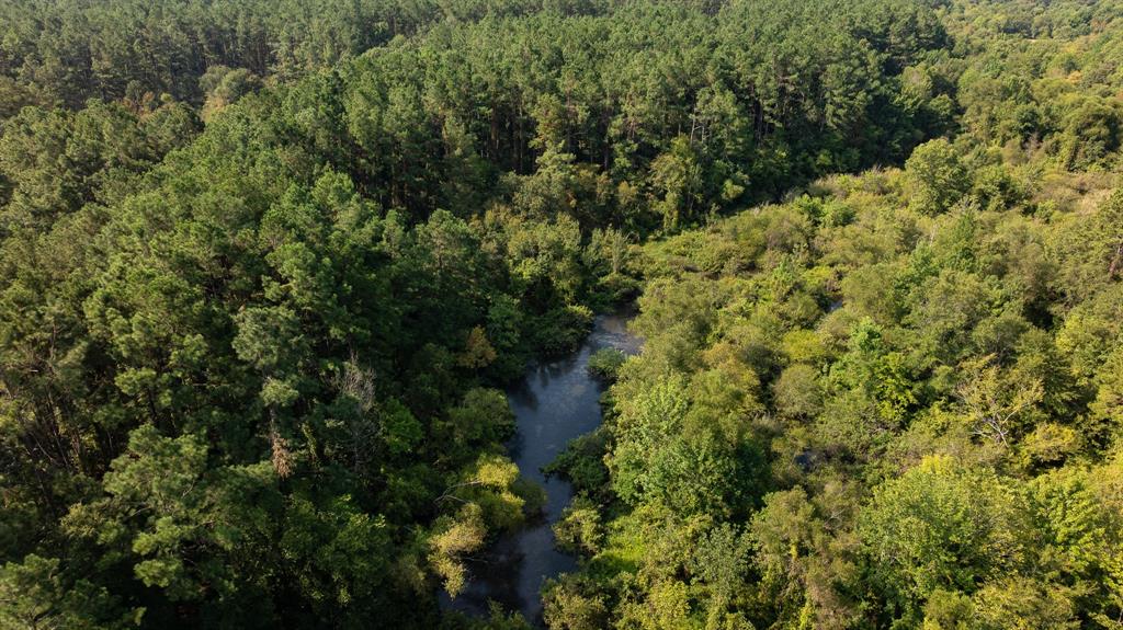 Tbd Cr 461 Property Photo 10