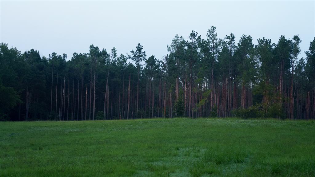 Tbd Cr 461 Property Photo 11