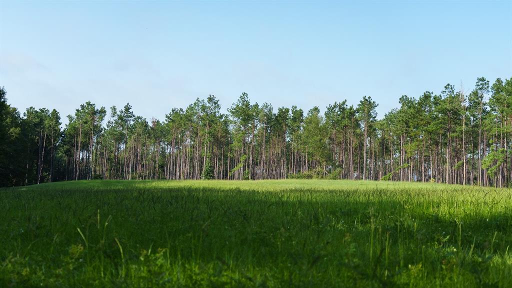 Tbd Cr 461 Property Photo 23