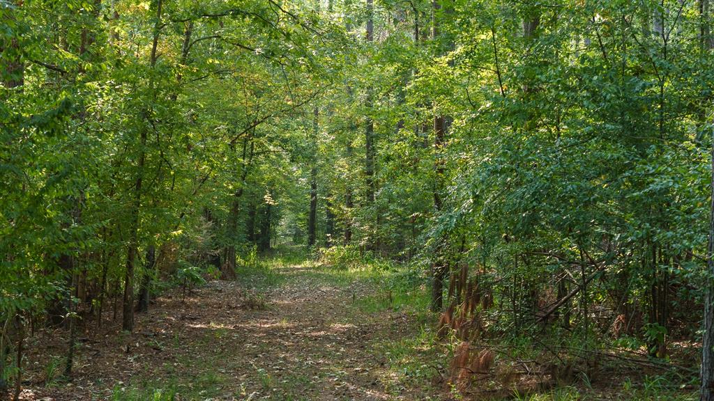 Tbd Cr 461 Property Photo 24