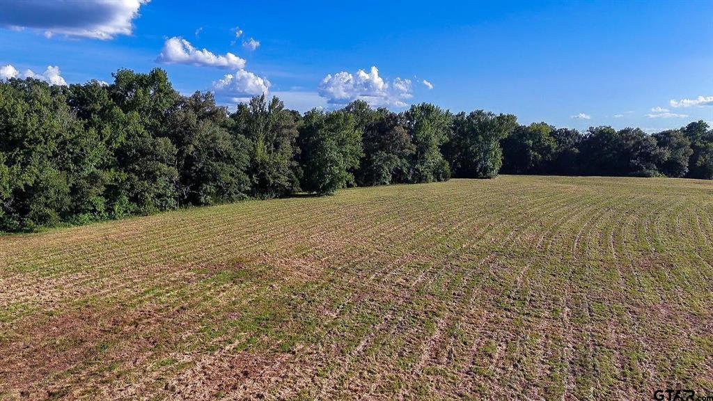 Tbd E Highway 11 Property Photo 3