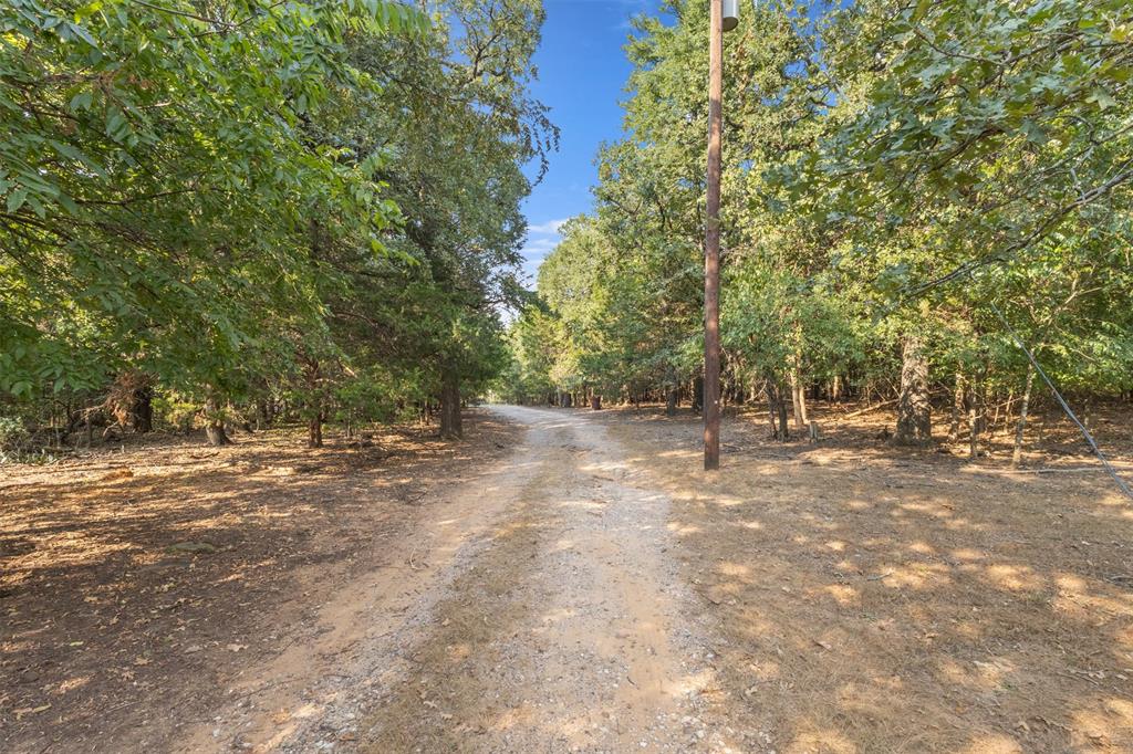 488 County Road 217 Property Photo 17
