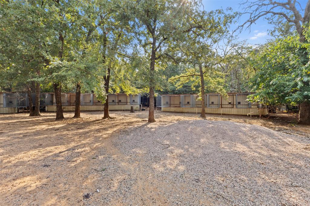 488 County Road 217 Property Photo 19