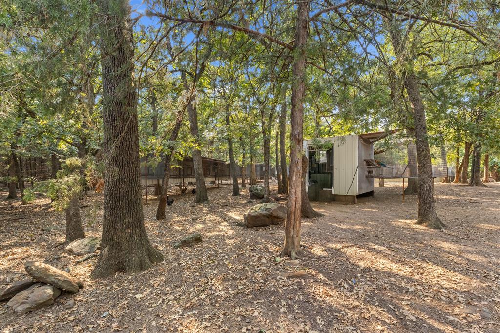 488 County Road 217 Property Photo 25