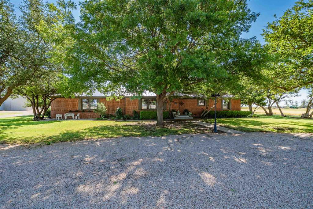 195 County Road 205 Property Photo 1