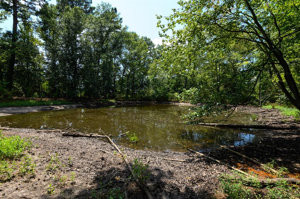 4480 Fm 2137 Property Photo 37
