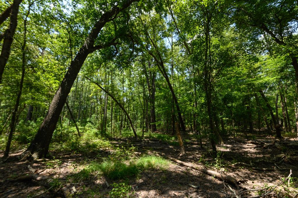 4480 Fm 2137 Property Photo 38