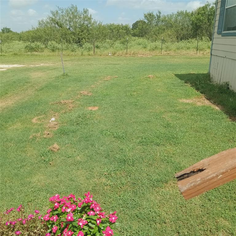7676 County Road 247 Property Photo 12