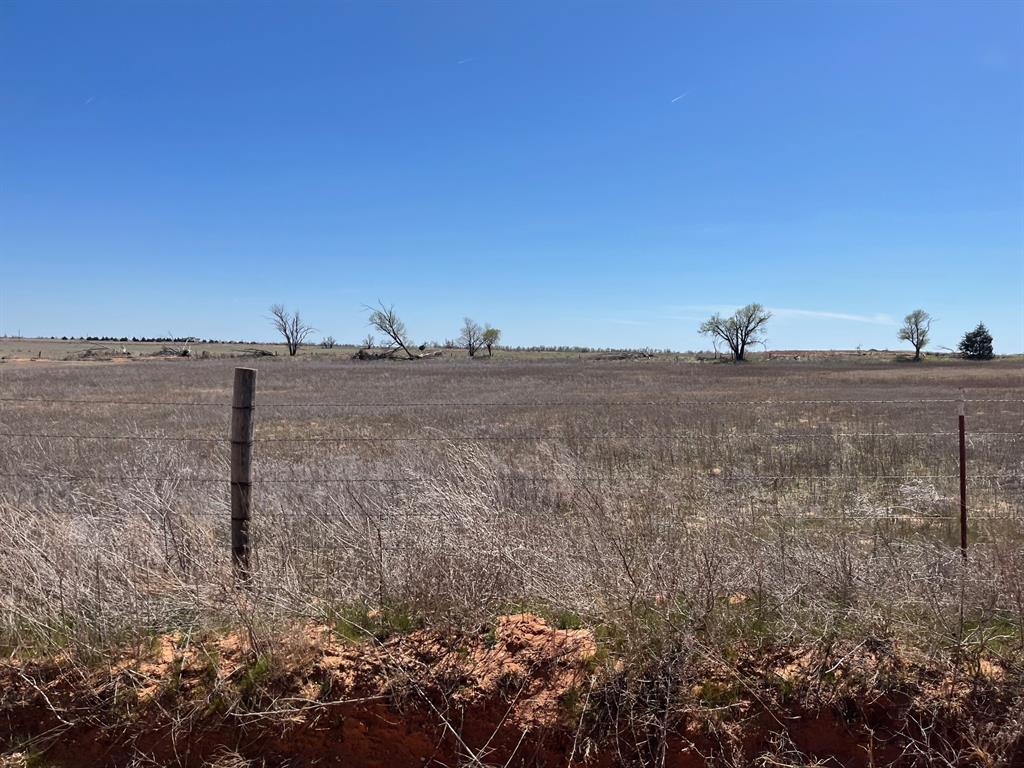 Tbd County Road 106 Property Photo 4