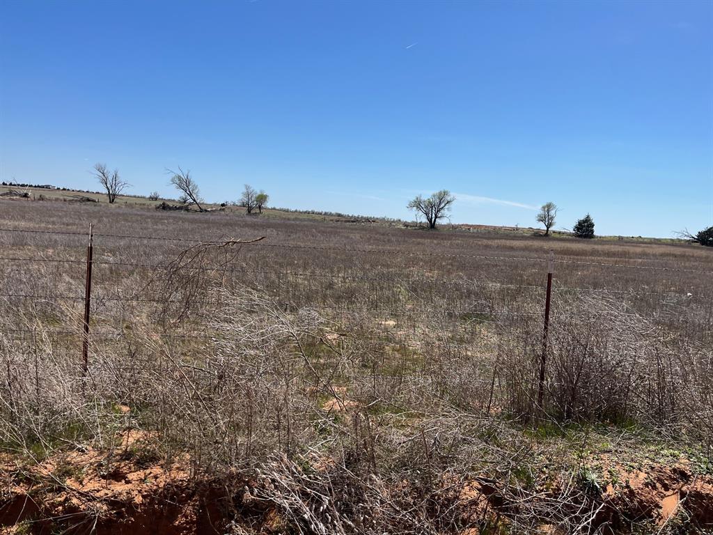 Tbd County Road 106 Property Photo 5