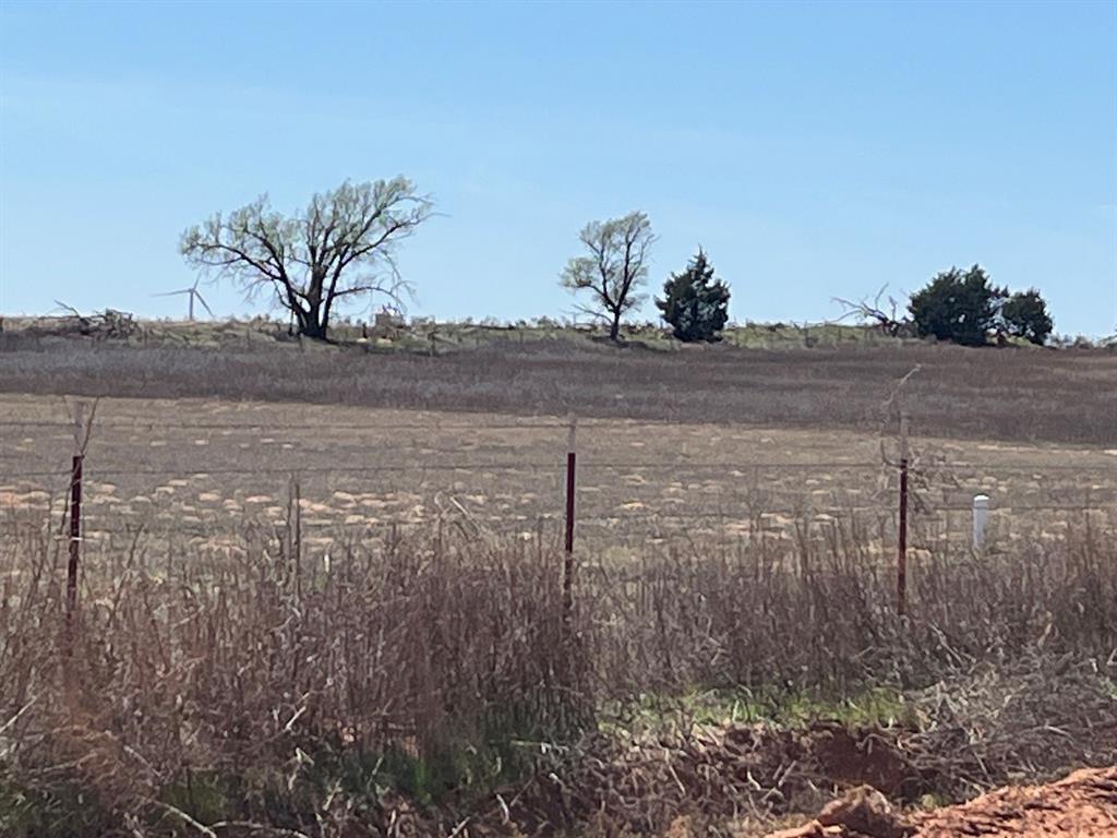 Tbd County Road 106 Property Photo 7