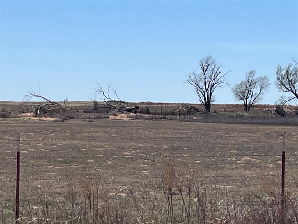 Tbd County Road 106 Property Photo 10