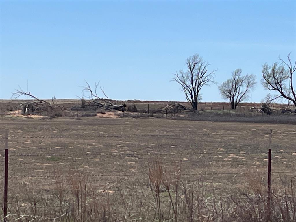 Tbd County Road 106 Property Photo 12