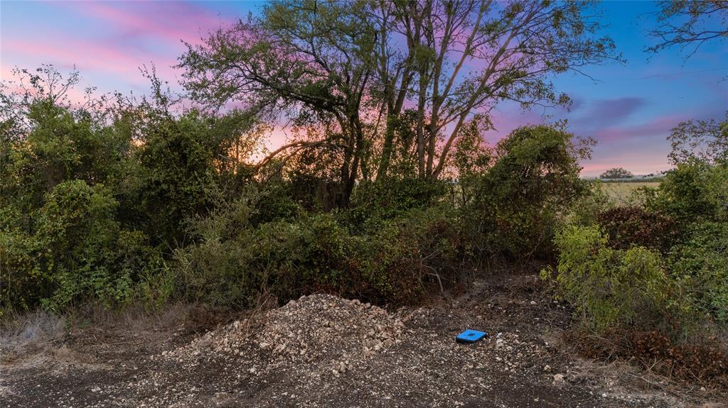 8153 Prairie Chapel Road Property Photo 7