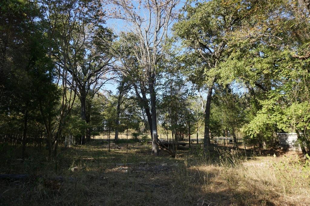 1714 Doc Holiday Property Photo 1