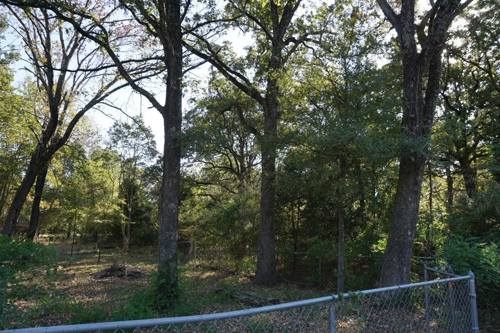 1714 Doc Holiday Property Photo 7