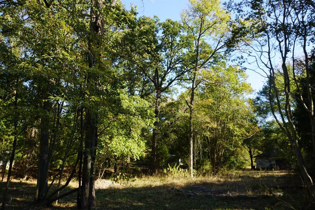1714 Doc Holiday Property Photo 8