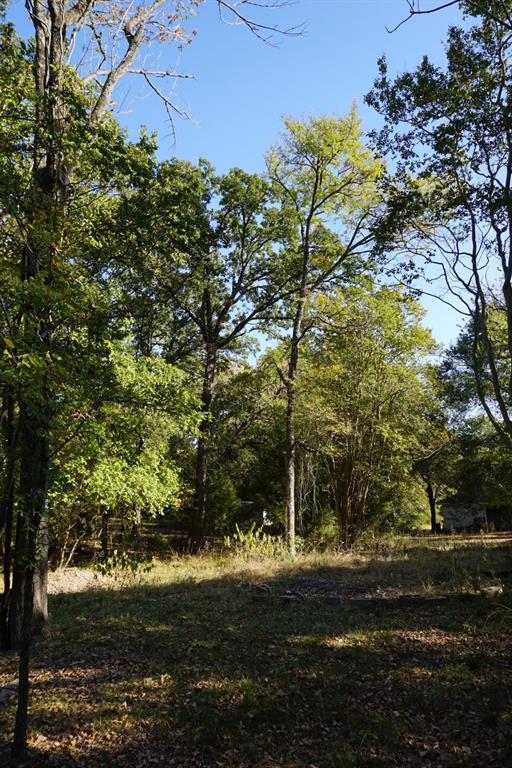 1714 Doc Holiday Property Photo 10