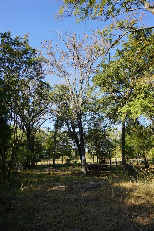 1714 Doc Holiday Property Photo 11