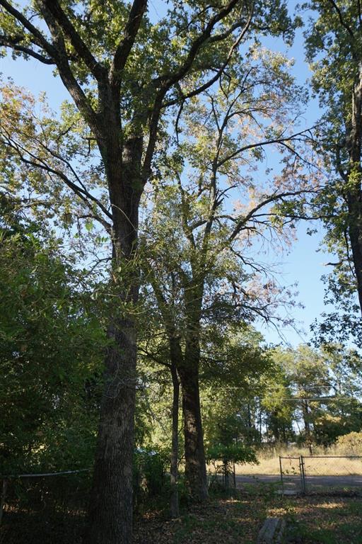1714 Doc Holiday Property Photo 12