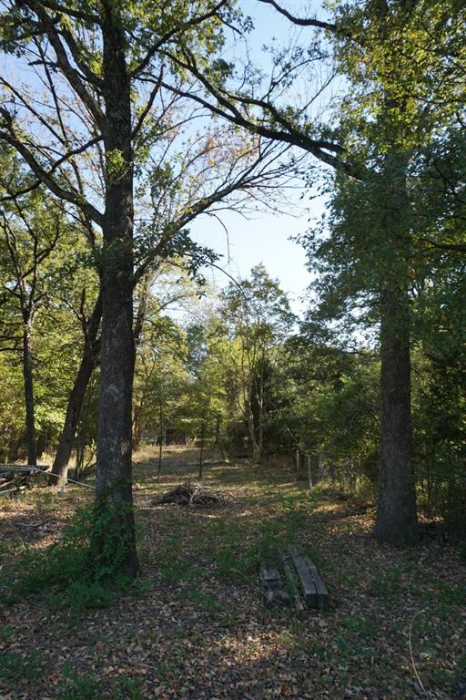 1714 Doc Holiday Property Photo 14