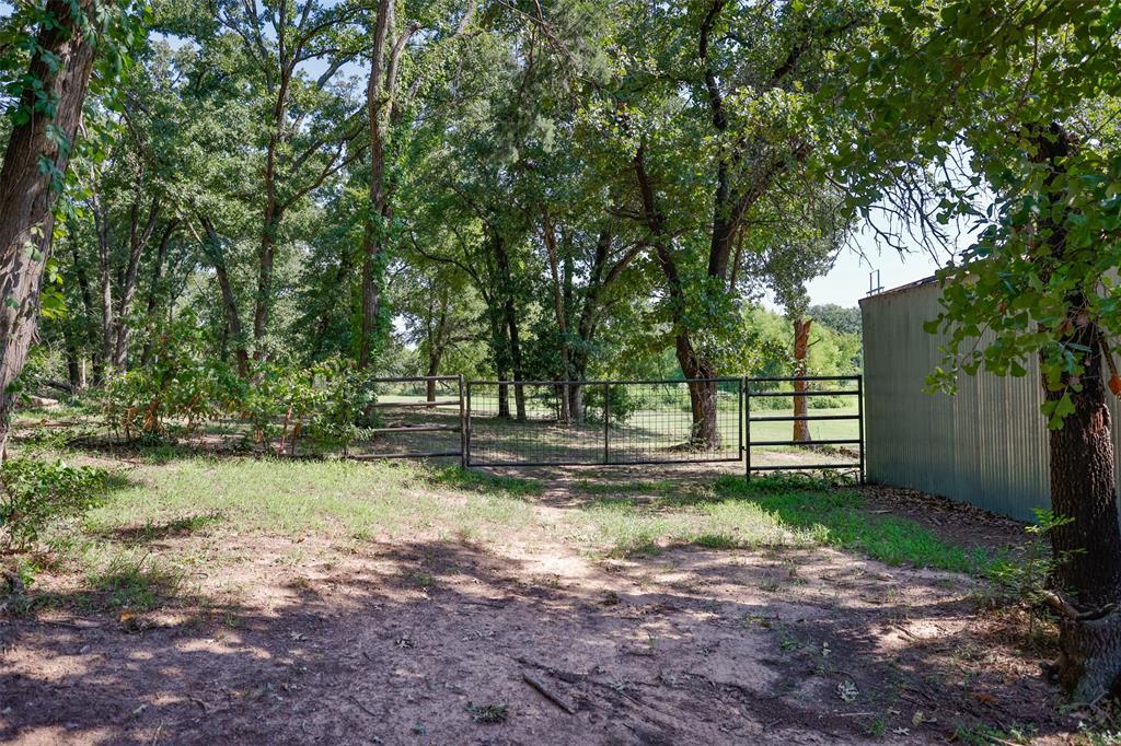 671 County Road 163 Property Photo 13