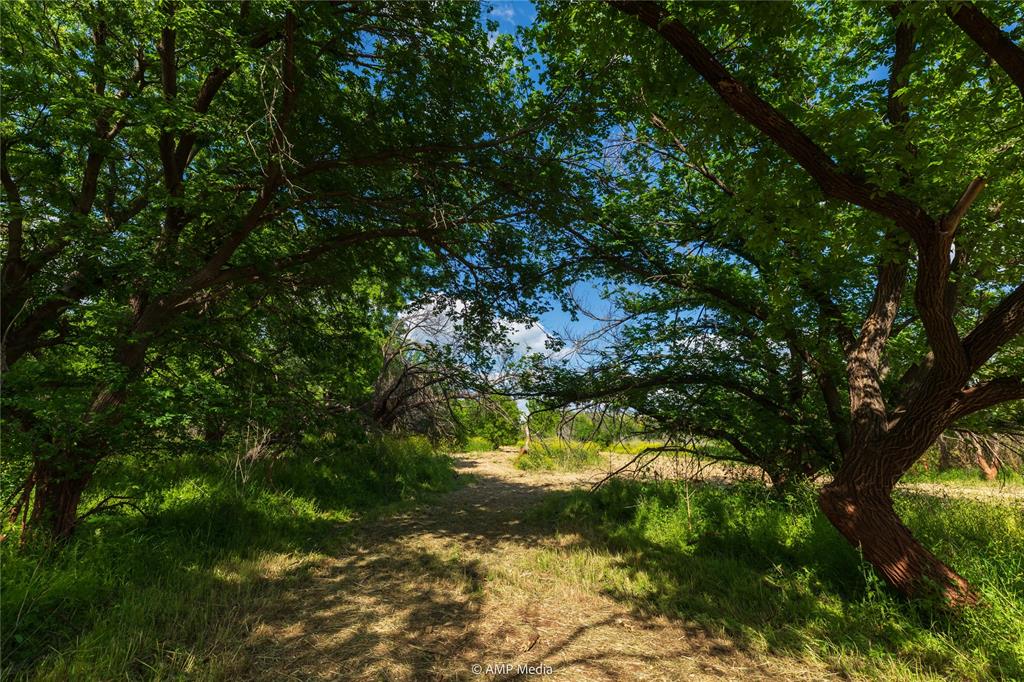 Lot 3 Tbd Cr 327 Property Photo 6
