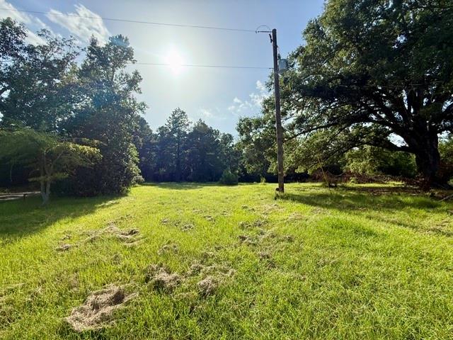 115 Jackson Property Photo 25