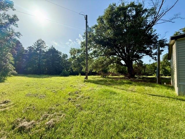 115 Jackson Property Photo 26