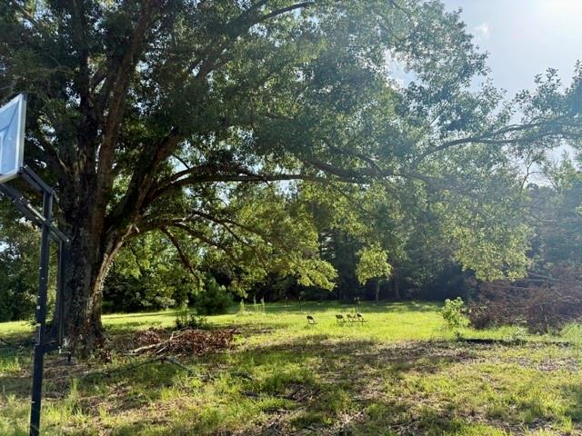 115 Jackson Property Photo 30
