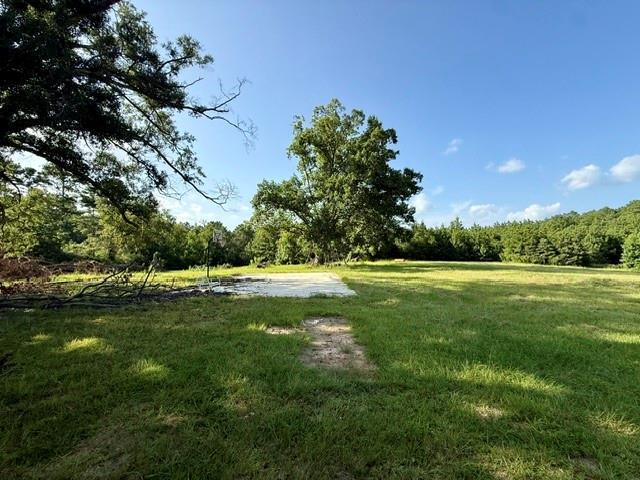 115 Jackson Property Photo 33