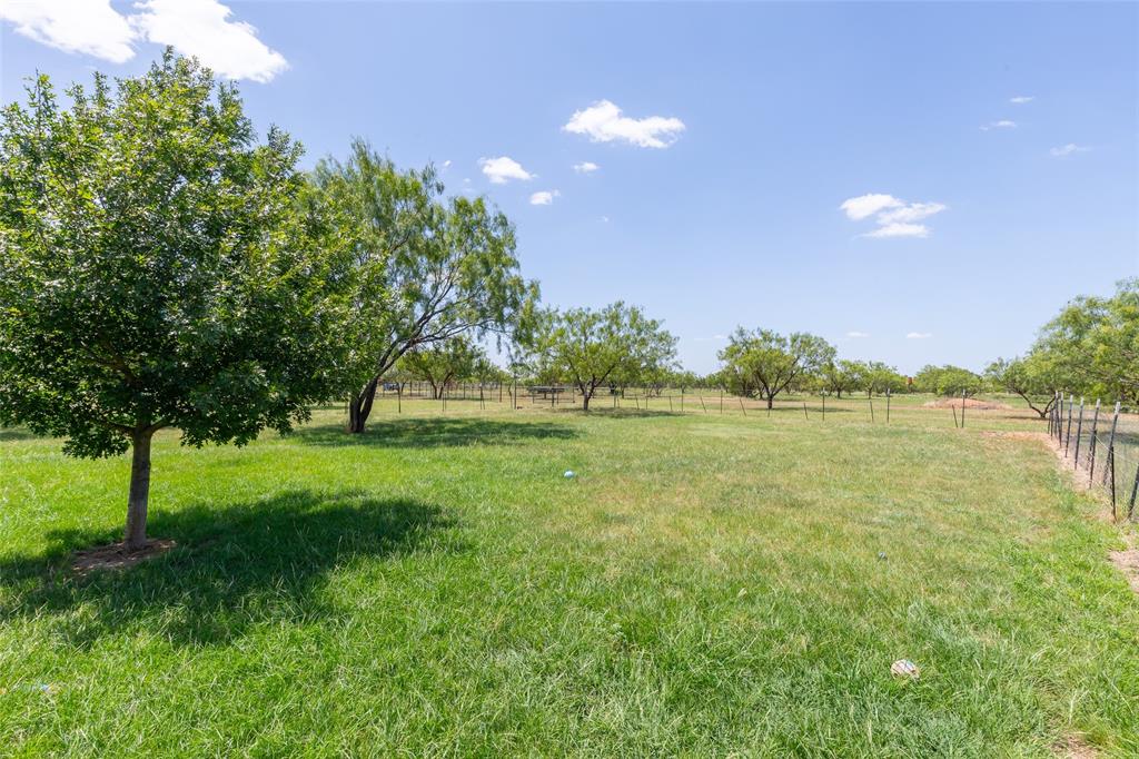 239 County Road 123 Property Photo 37