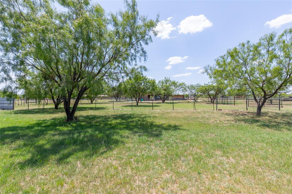 239 County Road 123 Property Photo 38