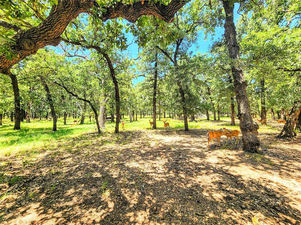 286 Cr 271 Property Photo 6