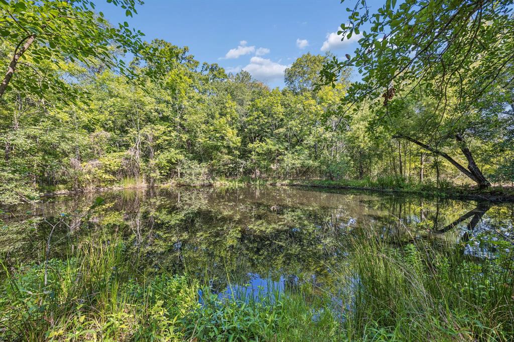 000 Hare Lane 6 Acre Property Photo 1