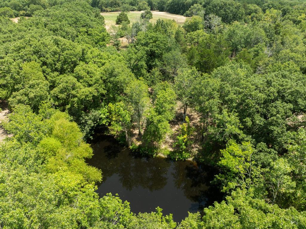 000 Hare Lane 6 Acre Property Photo 6