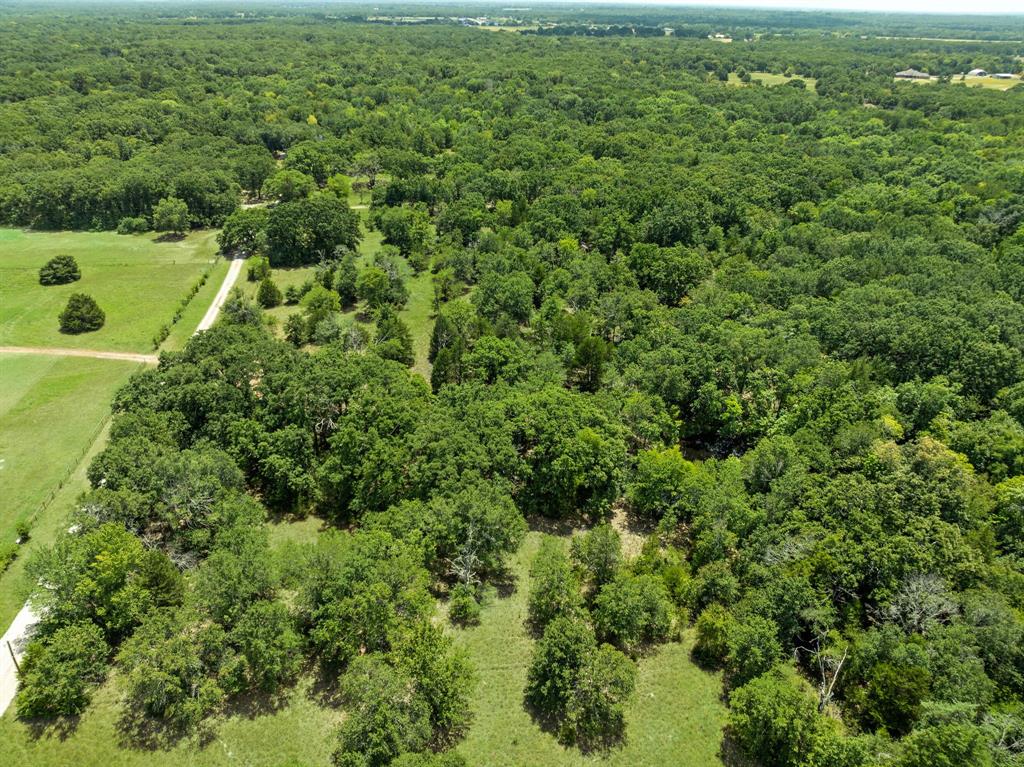 000 Hare Lane 6 Acre Property Photo 7