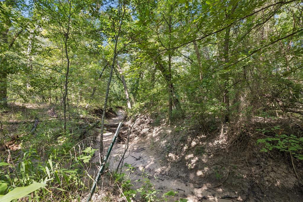 000 Hare Lane 6 Acre Property Photo 9