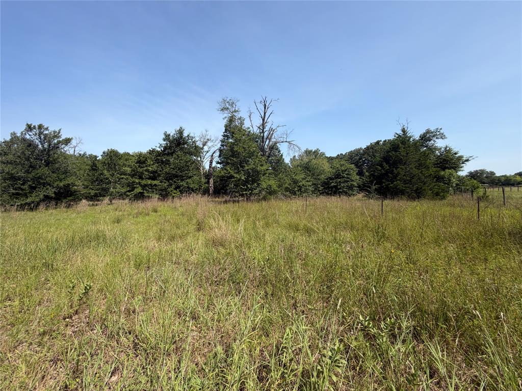 000 Hare Lane 6 Acre Property Photo 11