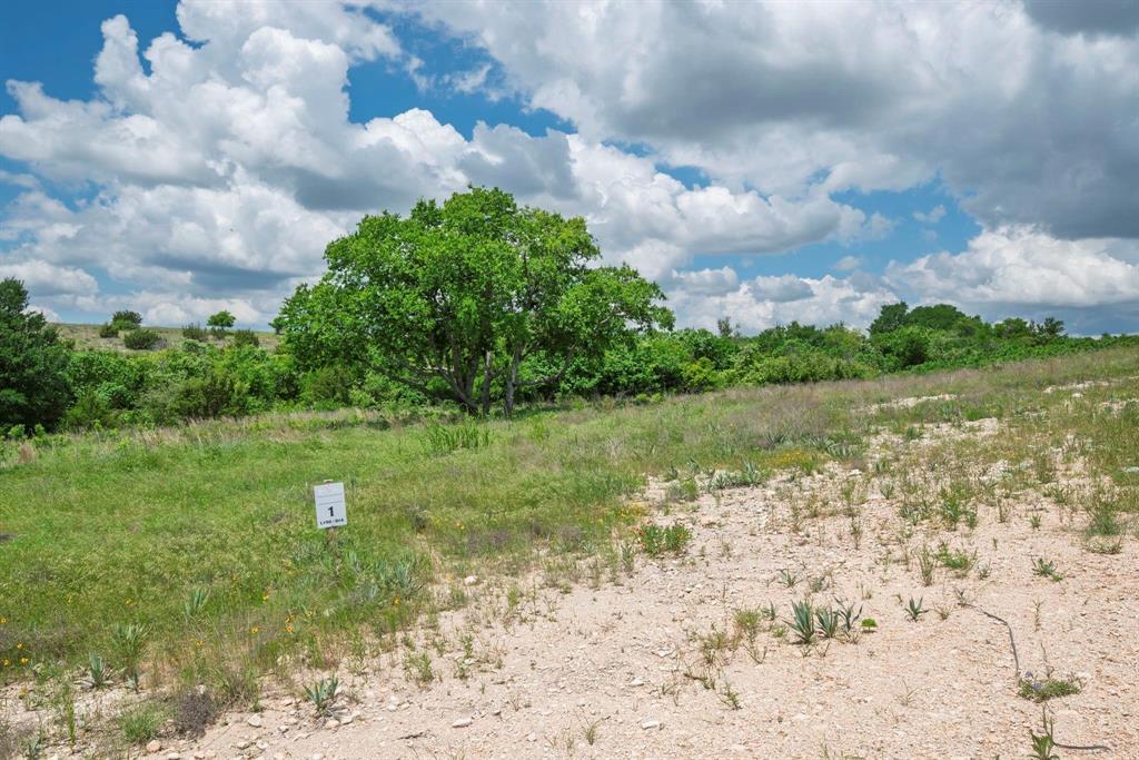 2500 Tom Chaney Property Photo 12