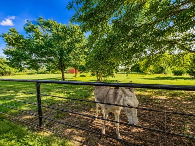 1817 County Road 3327 Property Photo 7