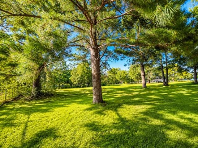 1817 County Road 3327 Property Photo 8